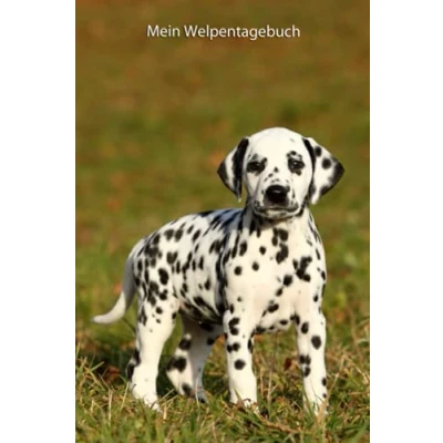 Abbildung von Mein Welpentagebuch: die ersten Monate mit meinem Dalmatiner (Dalmatiner alle Bücher: Trainingstagebuch, Krankenakte, BARF Planer und Welpentagebuch, Band 3)