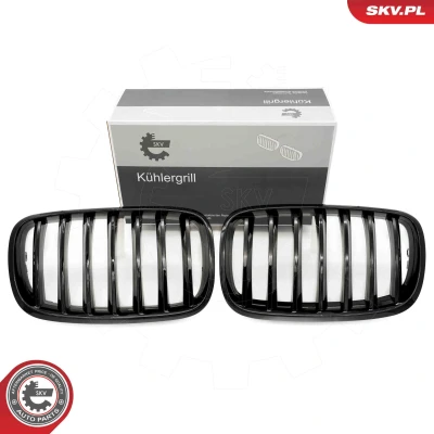 Abbildung von ESEN SKV 66SKV282 Kühlergrill glänzend, schwarz BMW: X5