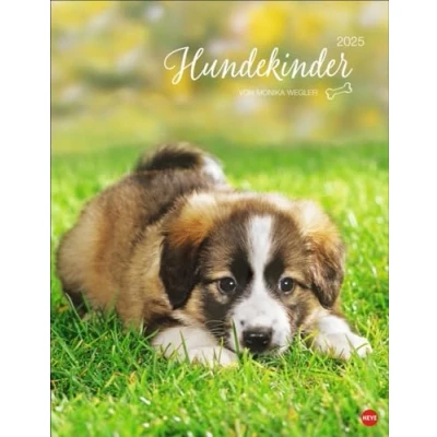 Abbildung von Hundekinder Posterkalender 2025: von Monika Wegler. Welpen Fotos zum Dahinschmelzen in einem Wandkalender. mit Hundeporträts für alle Fans der Fellnasen.