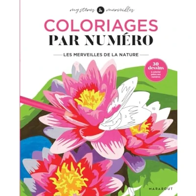 Abbildung von Coloriages mystères Les merveilles de la nature