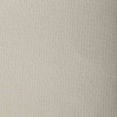 Abbildung von Clairefontaine 93857C Packung (mit 25 Bögen Zeichenpapier Etival Color, DIN A4, 21 x 29,7 cm, 160g, gekörnt, ideal für Trockentechnik und Einrahmen) naturgrau