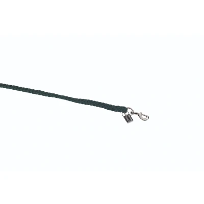 Abbildung von Eskadron Führstrick Regular Karabiner Silber Racinggreen