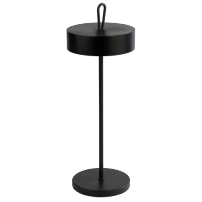Abbildung von APS 17005 &quot;CLEO Kabellose USB C Tischleuchte, Fartemperatur und Helligkeit einstellbar, spritzwasssergeschützt IP 54, inkl. Dockinstation Fernbedienung