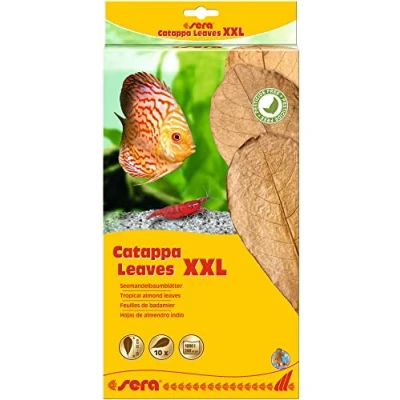 Abbildung von sera Catappa Leaves XXL 30 35 cm (10St) Seemandelbaumblätter für die natürliche Wasseraufbereitung