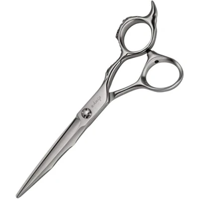 Abbildung von Knipschaar Pirate PR 60
