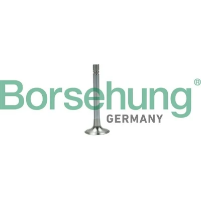 Abbildung von Borsehung B19003 Auslaßventil VOLKSWAGEN: Caddy 3 Kombi, Polo V Schrägheck, GOLF 6, SKODA: Fabia III 2 Octavia Combi