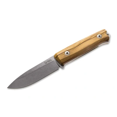 Abbildung von LionSteel B40 Olive Wood