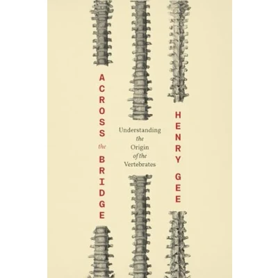 Abbildung von Across the Bridge: Understanding Origin of Vertebrates