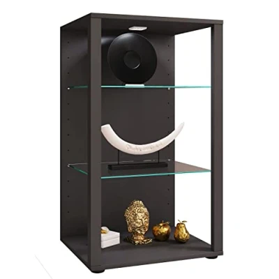 Abbildung von VCM Standvitrine Holz Glas Stand Vitrine Sammelvitrine Glasol XL