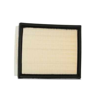 Abbildung von RIDEX 8A0055 Luftfilter 62 192 231 Umluftfilter, Filtereinsatz RENAULT: LAGUNA 2, ESPACE 4, 2 Grandtour