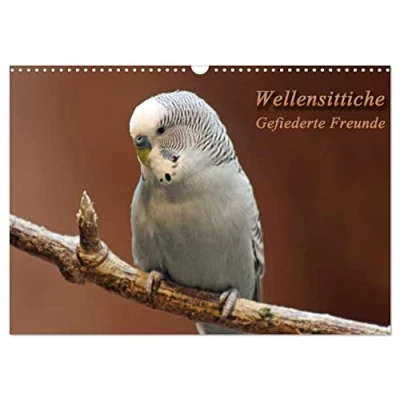 Abbildung von Wellensittiche Gefiederte Freunde (Wandkalender 2025 DIN A3 quer), CALVENDO Monatskalender