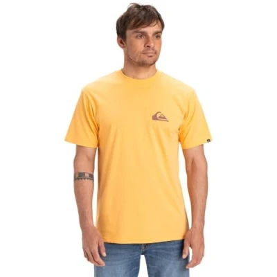 Abbildung von Quiksilver EV MINI LOGO Tshirt basic, Herren, Größe: Small, Ngr