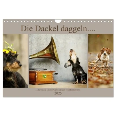 Abbildung von Die Dackel daggeln (Wandkalender 2025 DIN A4 quer), CALVENDO Monatskalender
