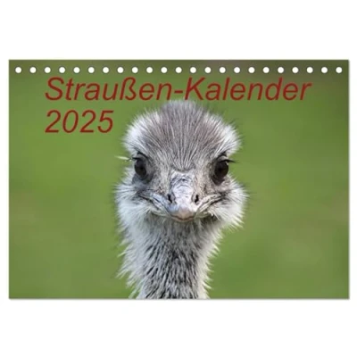 Abbildung von Straußen Kalender 2025 (Tischkalender DIN A5 quer), CALVENDO Monatskalender