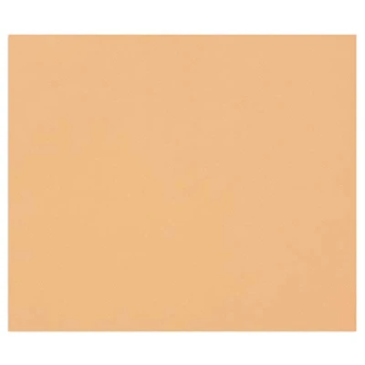Abbildung von Clairefontaine 960487C Ries mit 100 Blatt Zeichenpapier Tulipe, 160g, DIN A4, säurefrei, 100% Zellulose, 1 Ries, lachs