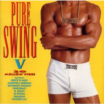 Abbildung von Pure Swing V