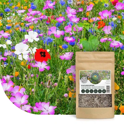 Abbildung von Blumensamen Wildblumenmischung ein und mehrjährig 1 KG 500 m² MRS Seeds &amp; Mixtures