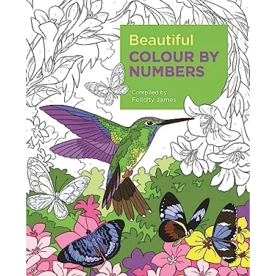 Abbildung von Beautiful Colour by Numbers (Arcturus Collection)