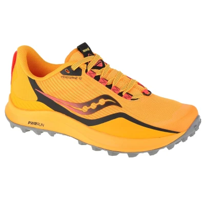 Abbildung von Laufschuhe Damen Peregrine 12