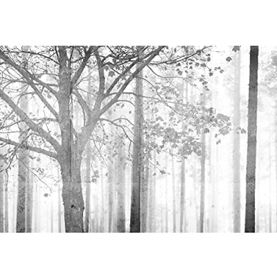 Abbildung von Architects Paper Fototapete &quot;Atelier 47 Edge 2&quot;, Wald, Wald 4,00 m x 2,70 200 g Vlies Premium Tapete Natur