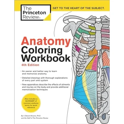 Abbildung von Anatomy Coloring Workbook, 4th Edition: An Easier and Better Way to Learn (Coloring Workbooks)