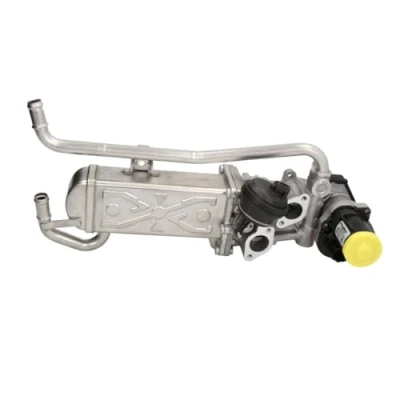 Abbildung von AGR Modul WAHLER 710862D