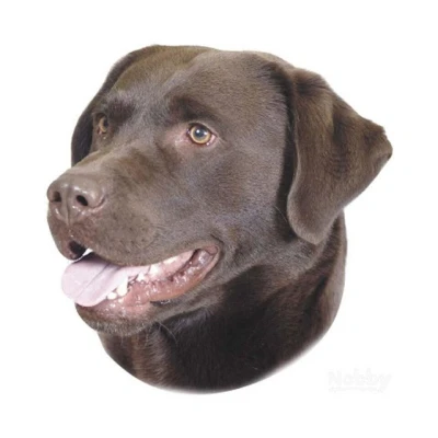 Abbildung von Nobby Aufkleber Labrador braun