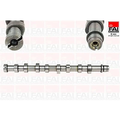Abbildung von FAI AutoParts C260 Nockenwelle FORD: FIESTA 6, 5, PEUGEOT: 307 Schrägheck, 207 CITROËN: C1 I