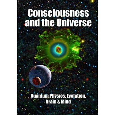 Abbildung von Consciousness and the Universe: Quantum Physics, Evolution, Brain &amp; Mind