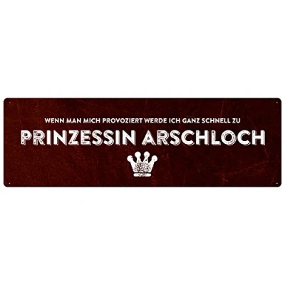 Abbildung von Prinzessin ARSCHLOCH Spruchschild Dekoschild Geschenk Freundin