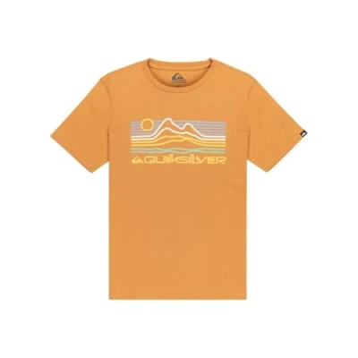 Abbildung von Quiksilver T Shirt, kurzärmlig, EV Light Waves SS, Braun 10