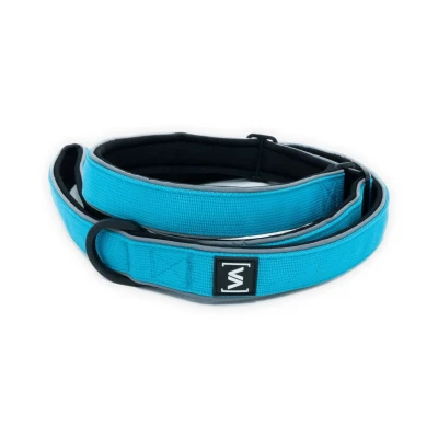 Abbildung von VITOMALIA® Breite Moxon Retrieverleine, Zugstopp: Reflektierend, weich, ideal für große Hunde, sicher beim Training und Nachtspaziergängen. (Türkis)