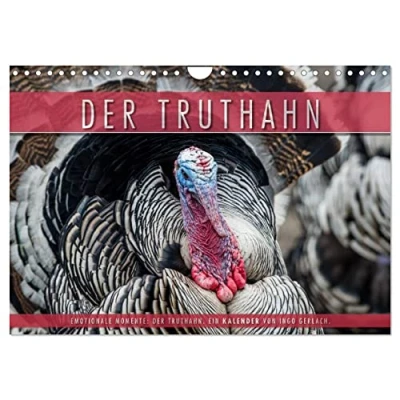 Abbildung von Emotionale Momente: Der Truthahn. (Wandkalender 2025 DIN A4 quer), CALVENDO Monatskalender