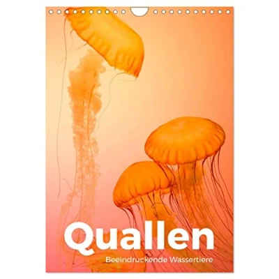 Abbildung von Quallen Beeindruckende Wassertiere (Wandkalender 2025 DIN A4 hoch), CALVENDO Monatskalender