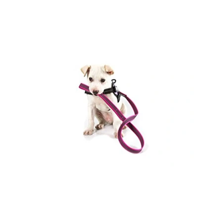 Abbildung von Julius K9 C&amp;amp G Schnur, rosa/grau 20mm/1m mit Griff