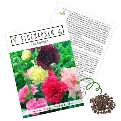 Abbildung von Stockrosen Samen zweijährig (Alcea Rosea, 100 Korn) Wunderschöne Rosen mit langer Blütezeit für besondere Akzente in Ihrem Blumenbeet (Mix)