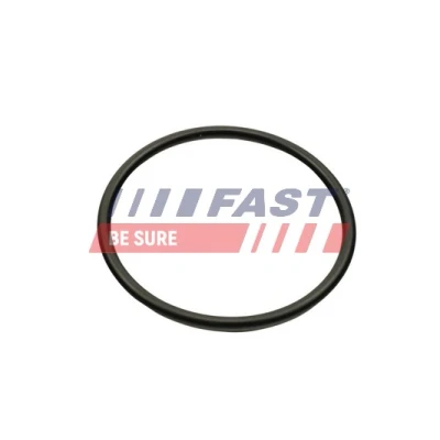 Abbildung von FAST FT49460 Ansaugkrümmerdichtung Ausgang RENAULT: CLIO 2, Kangoo I, Scénic 1, DACIA: Duster SUV, Logan I MCV, Limousine