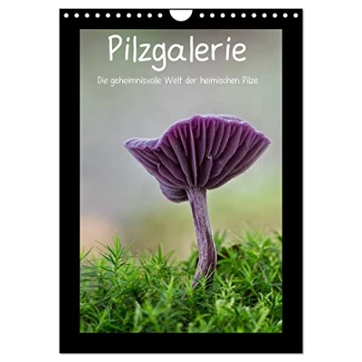 Abbildung von Pilzgalerie Die geheimnisvolle Welt der heimischen Pilze (Wandkalender 2025 DIN A4 hoch), CALVENDO Monatskalender