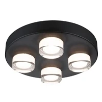 Abbildung von Paulmann Kame Feuchtraumleuchte LED (RGB) 16,8 W Warmweiß Schwarz