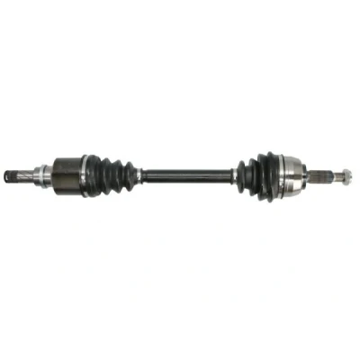 Abbildung von Antriebswelle PASCAL G2R109PC
