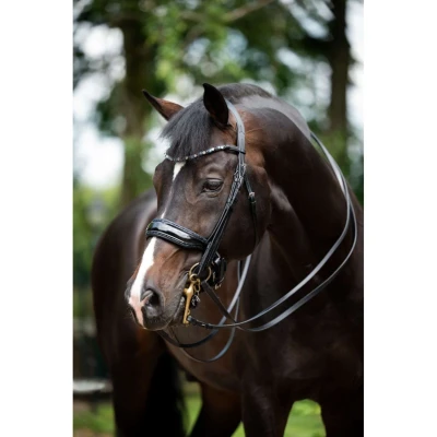 Abbildung von HB Showtime Stang en Trens Hoofdstel Special for YouVerkauft von HypoStore