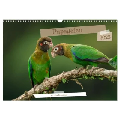 Abbildung von Papageien (Wandkalender 2025 DIN A3 quer), CALVENDO Monatskalender