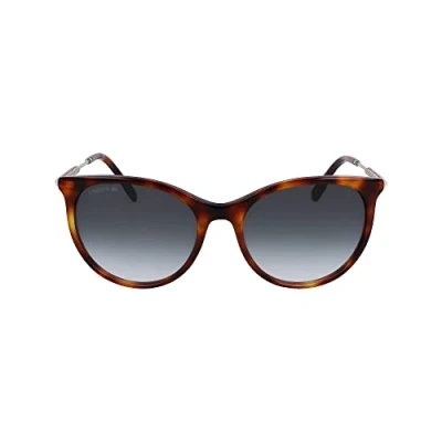 Abbildung von Lacoste Women&#039;s Sunglasses L993S Havana with Gradient Green Lens