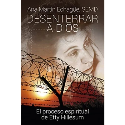 Abbildung von Desenterrar a Dios: El proceso espiritual de Etty Hillesum (Servidores y Testigos, Band 173)