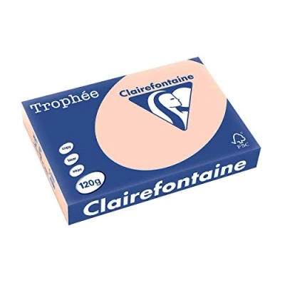 Abbildung von 5 x Clairefontaine Kopierpapier Trophee A4 120g/qm VE=250 Blatt lachs