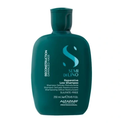 Abbildung von Reconstruction Reparative Low Shampoo