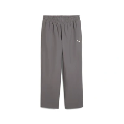 Abbildung von Puma Relaxed Jogginghose, Herren, Größe: Large, Cast iron