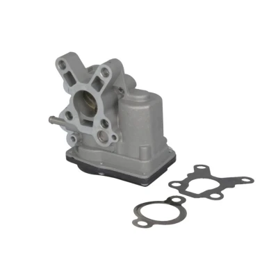 Abbildung von NRF 48660 AGR Ventil mit Dichtungen NISSAN: Pathfinder 3, NP300 Navara Pickup, Pritsche / Fahrgestell