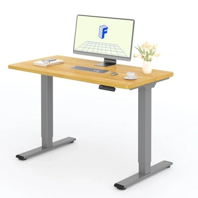 Abbildung von FLEXISPOT Höhenverstellbarer Schreibtisch mit 2 Motoren &amp; 25MM einteiliger Tischplatte,ergonomischer Bürotisch 120 x 60 cm Ahorn, graues Gestell
