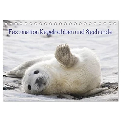 Abbildung von Faszination Kegelrobben und Seehunde 2025 (Tischkalender DIN A5 quer), CALVENDO Monatskalender
